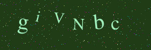 Validation image