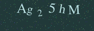 Validation image